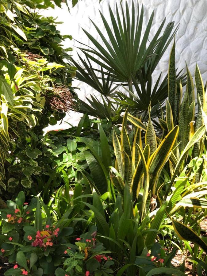 Le Castel Blanc Hotel Boutique San Andrés Kültér fotó